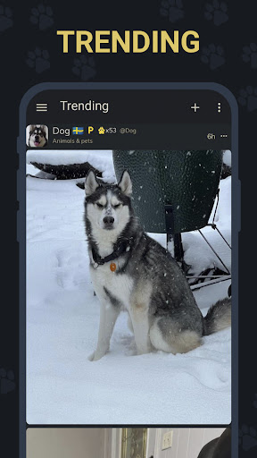 screenshot6