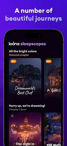 screenshot13