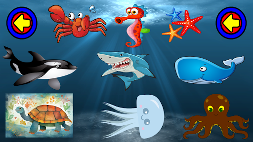 screenshot11
