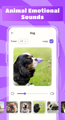 screenshot3