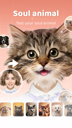 screenshot13