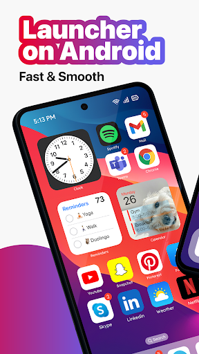 screenshot21