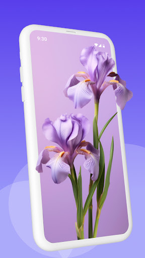 screenshot5
