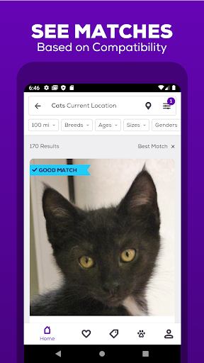 screenshot2