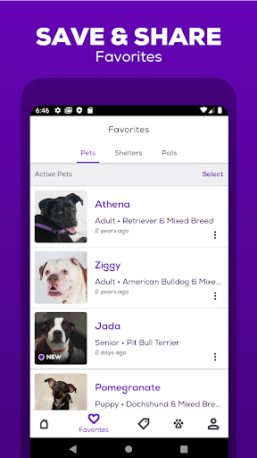 screenshot4