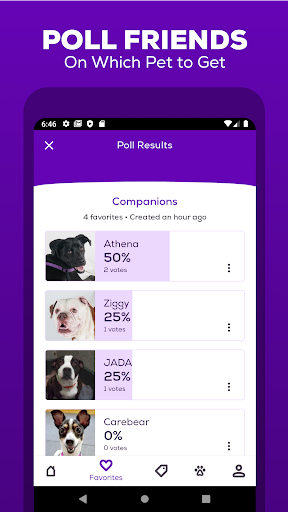 screenshot5