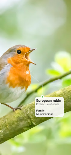 screenshot2