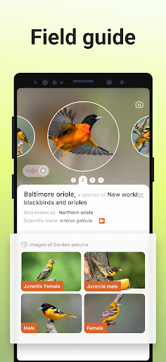 screenshot4