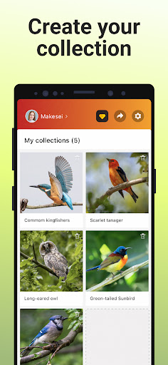screenshot6