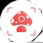 Picture Mushroom