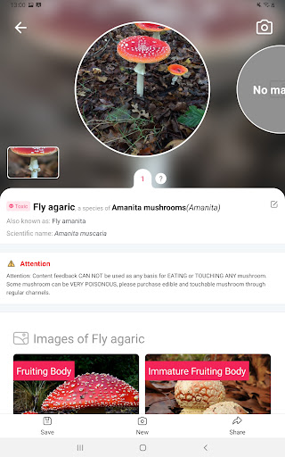 screenshot4