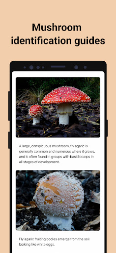 screenshot10