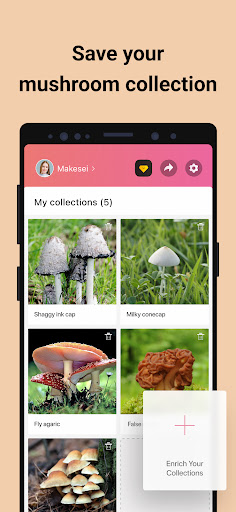 screenshot11