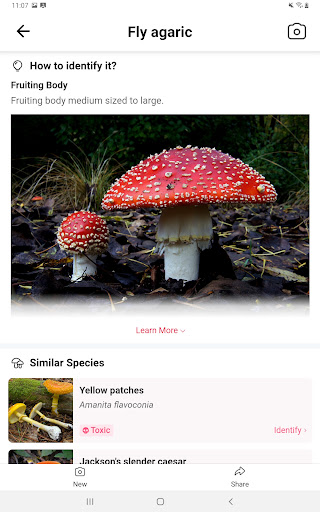 screenshot15