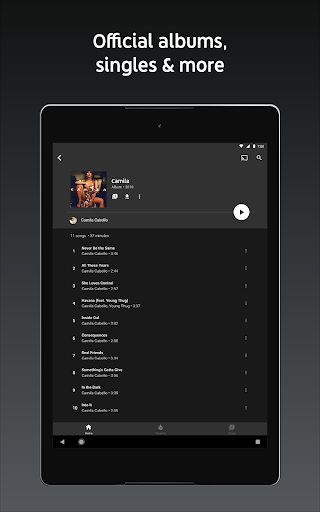 screenshot21