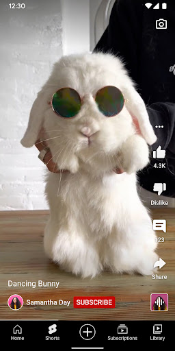 screenshot2
