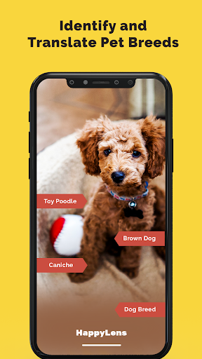 screenshot3