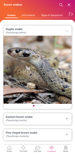 screenshot3