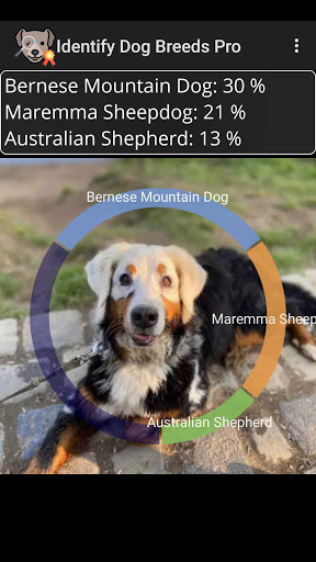 screenshot1