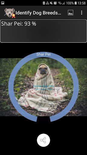 screenshot8
