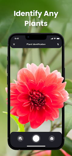 screenshot1
