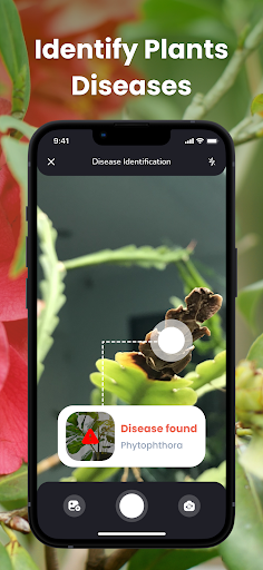 screenshot8