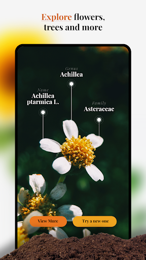 screenshot1