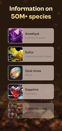 screenshot3