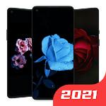 Pretty Wallpapers