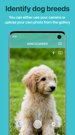screenshot1