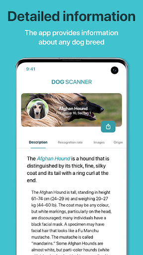 screenshot8