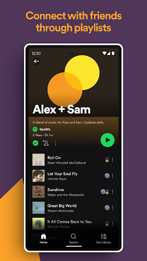 screenshot33