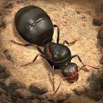 Planet Ant
