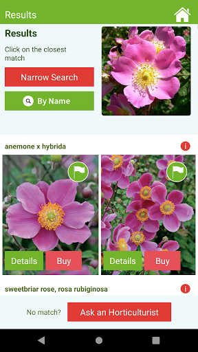 screenshot8