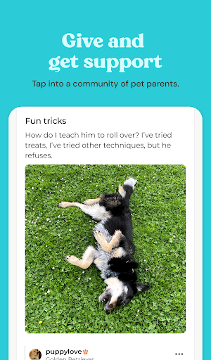 screenshot5