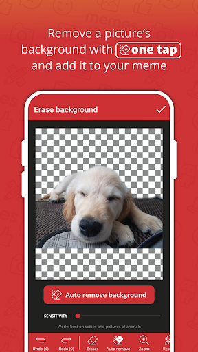screenshot21