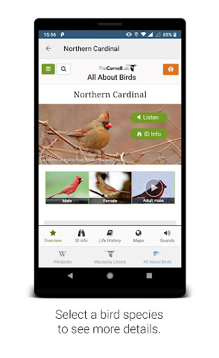 screenshot4