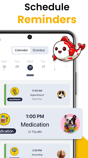 screenshot11