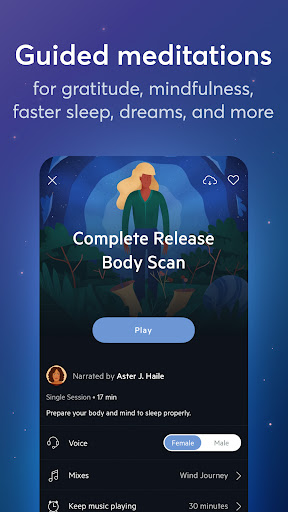 screenshot21