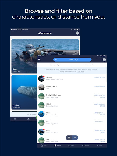 screenshot2