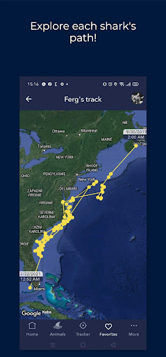 screenshot11