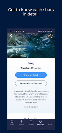 screenshot12