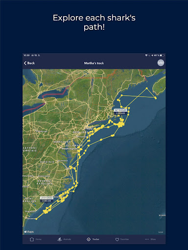 screenshot17