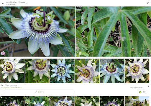screenshot2
