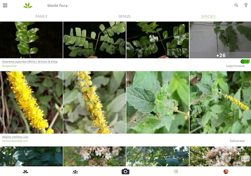 screenshot3