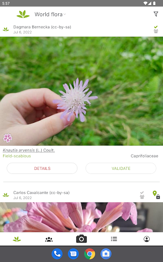 screenshot11