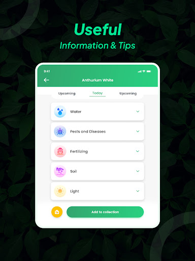 screenshot2