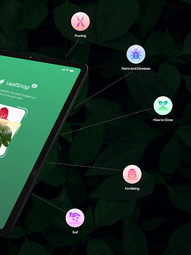 screenshot11